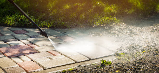 Best Building Exterior Washing  in Escatawpa, MS